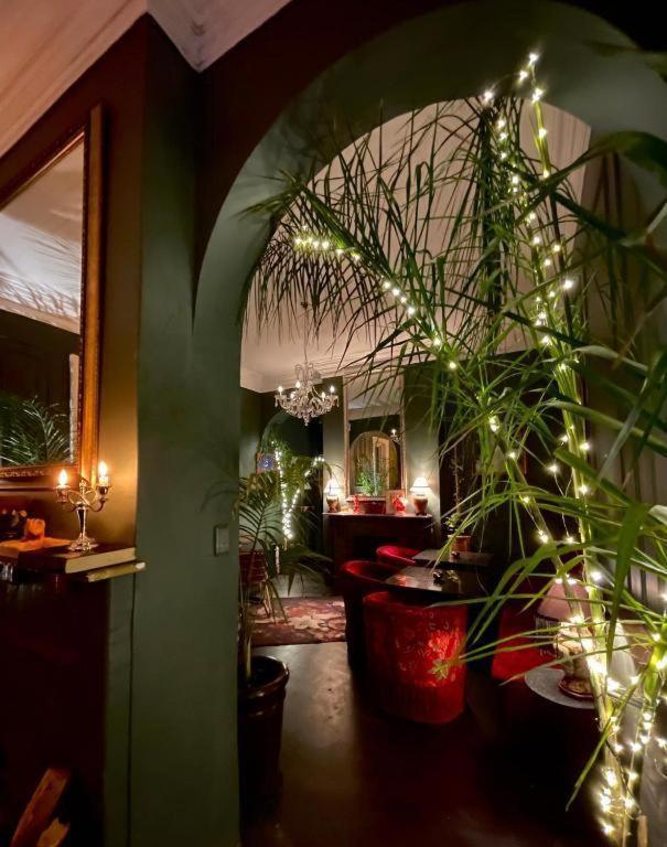 The Ivy On Park Hotell Kapstaden Exteriör bild